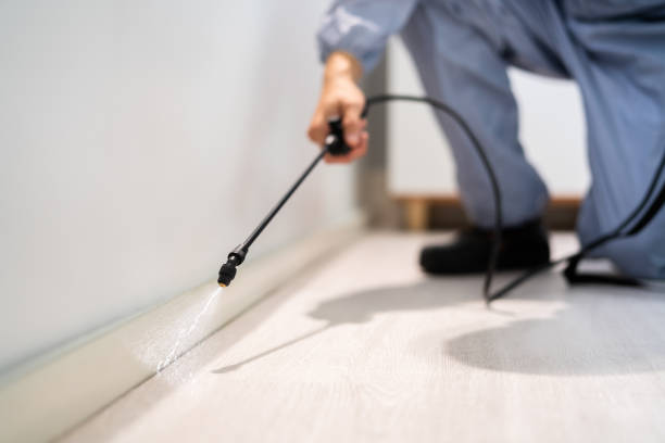Licensed Fumigation Services service in Carmel Valley Village, CA - Nex Pest Control