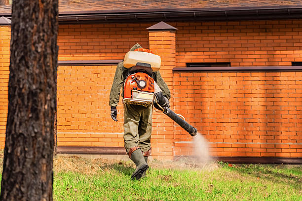 Trusted Termite Control service in Carmel Valley Village, CA - Nex Pest Control